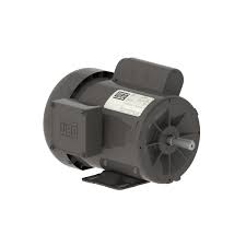 Steel TEFC General Purpose