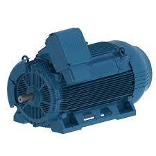 W50 - Cast Iron TEFC General Purpose