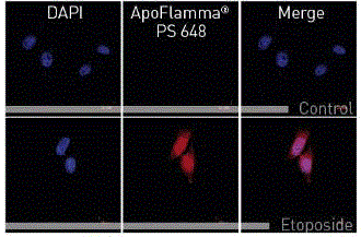 ApoFlamma® PS serie